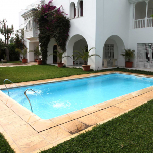 Dépannage et installation piscine DPS